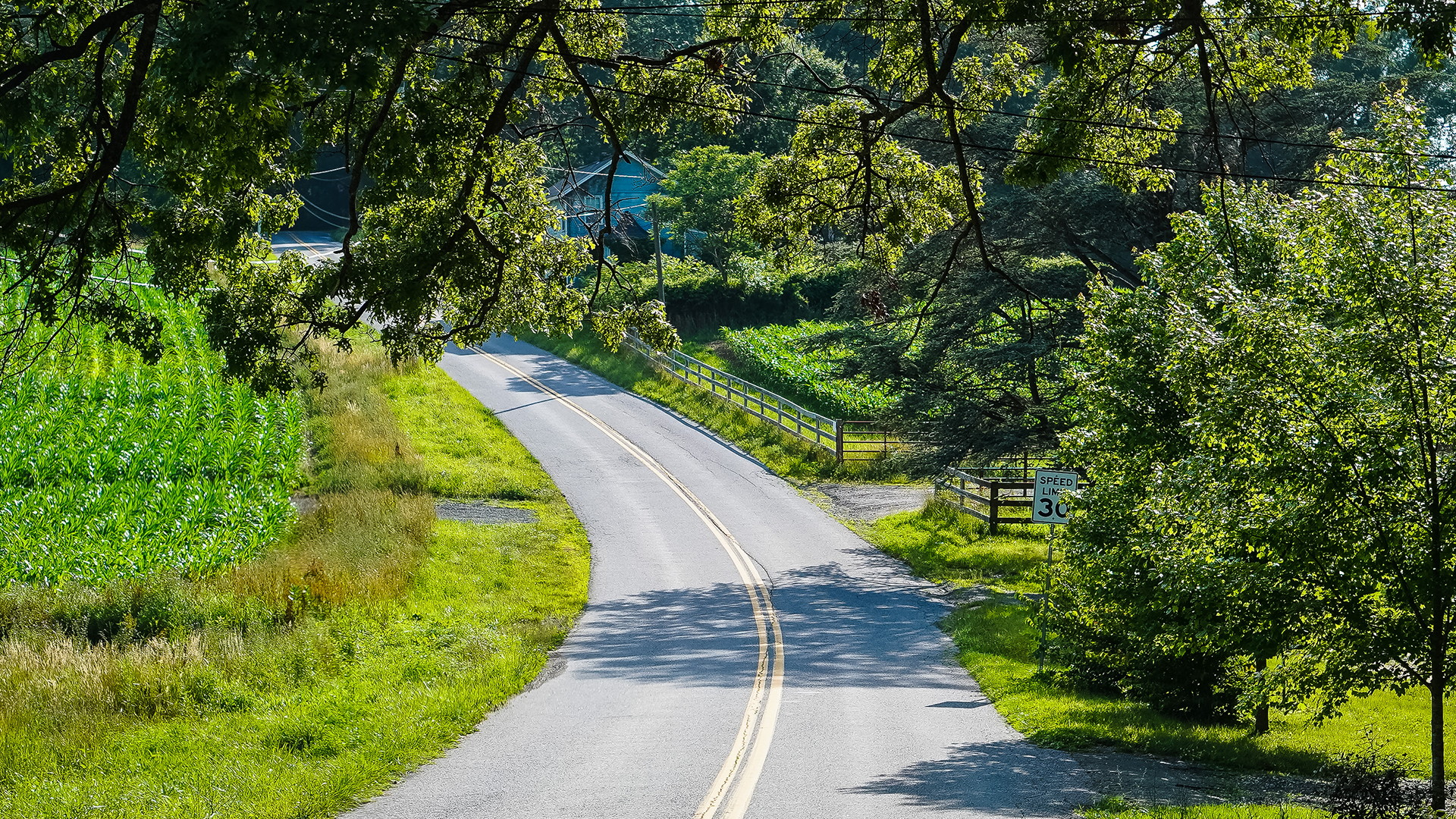 Rural Road