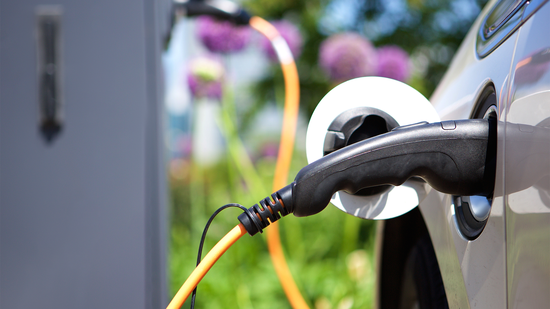 Gas pump in car with greenery in the background