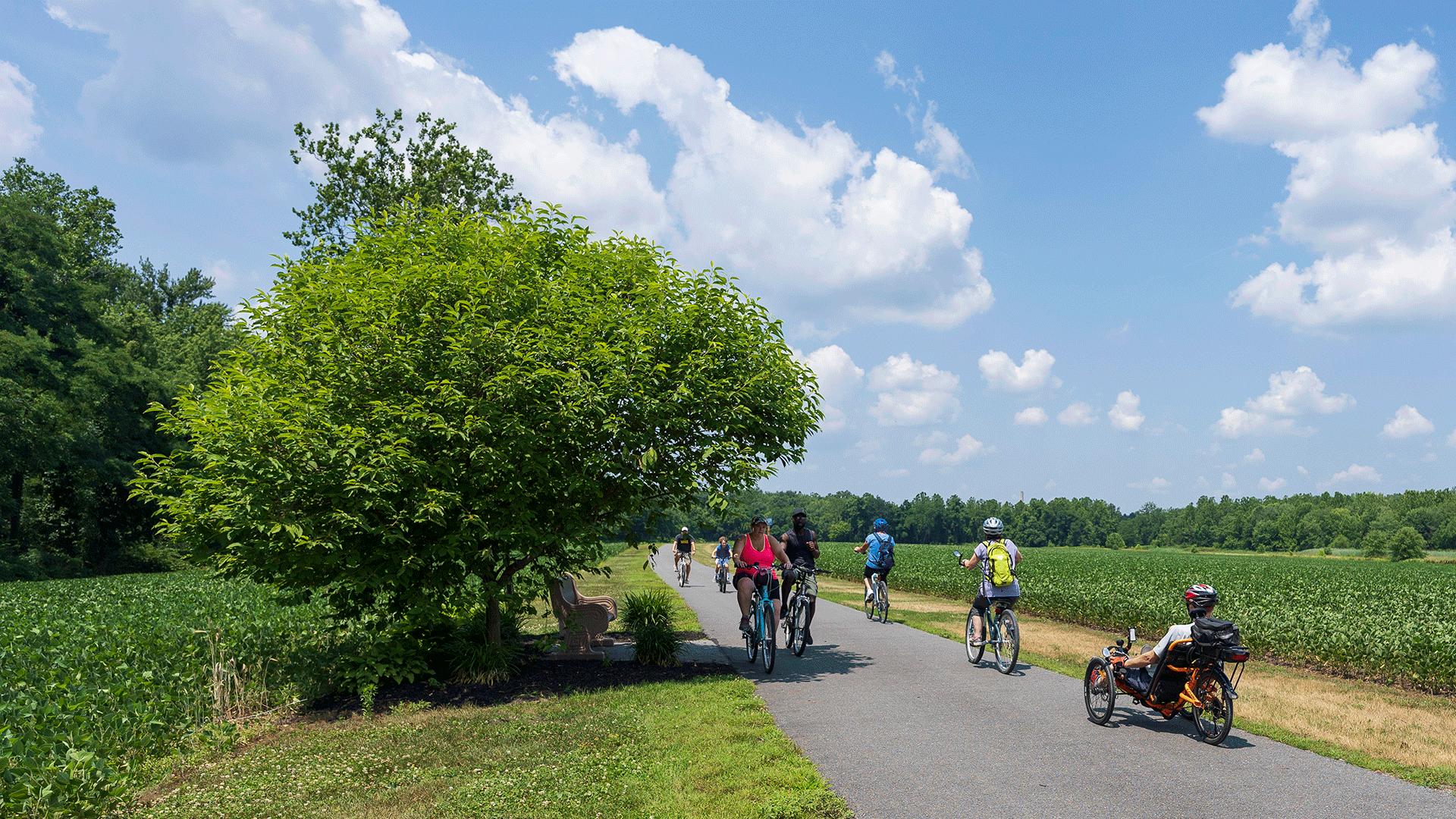 Multiple people riding on a trail with a blue sky in the background