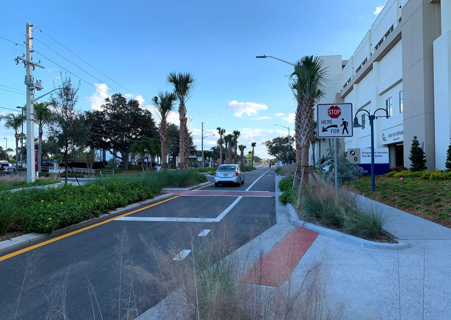 Road lined with palm trees in front of a medical center