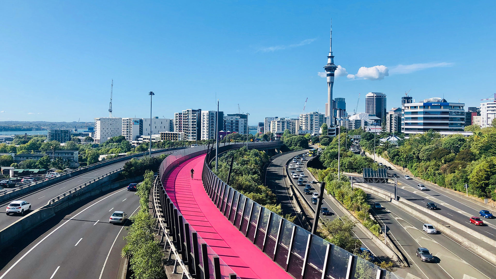 Aerial shot of Auckland, New Zealand pink bike path
