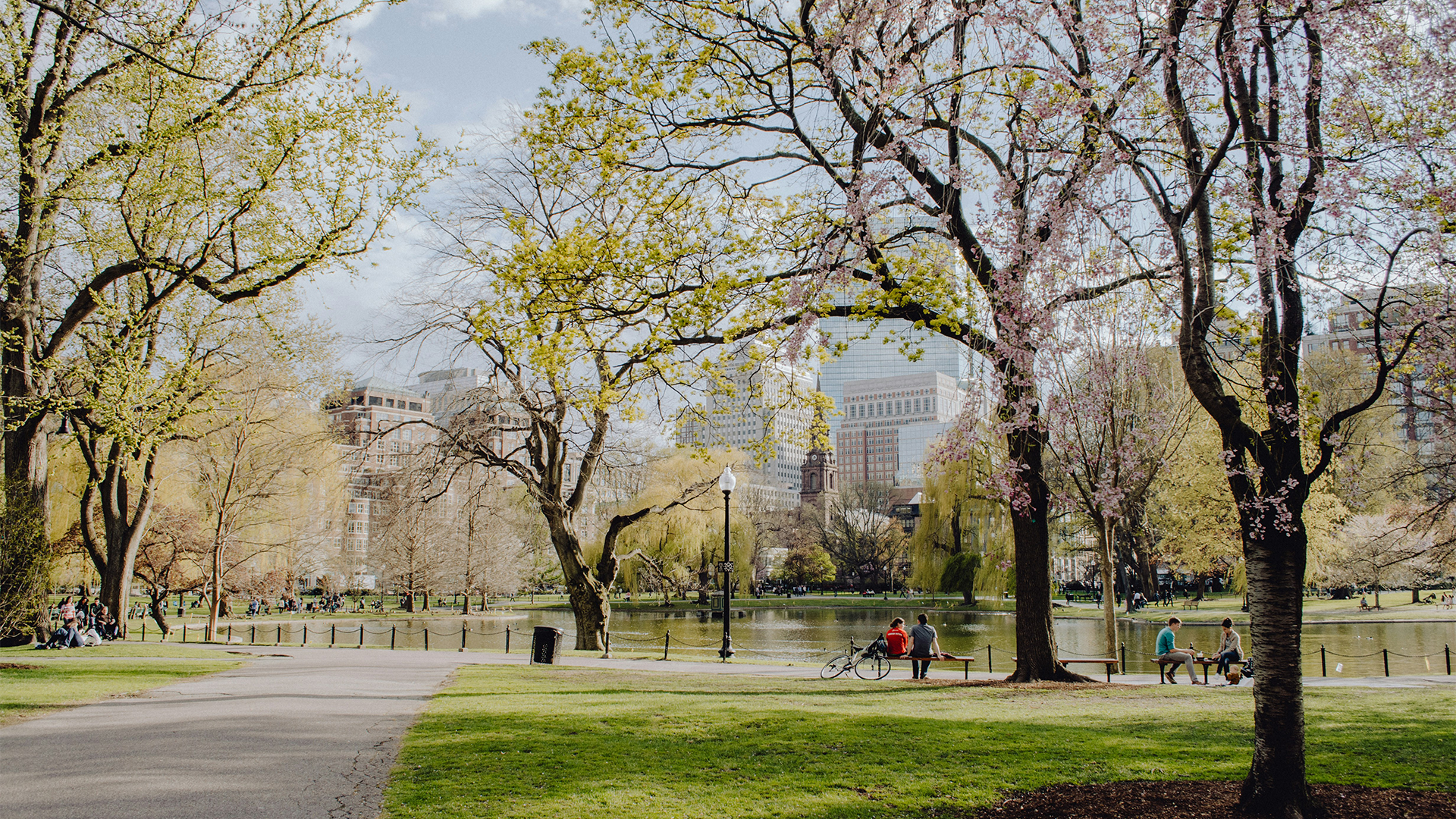 Boston commons in spring