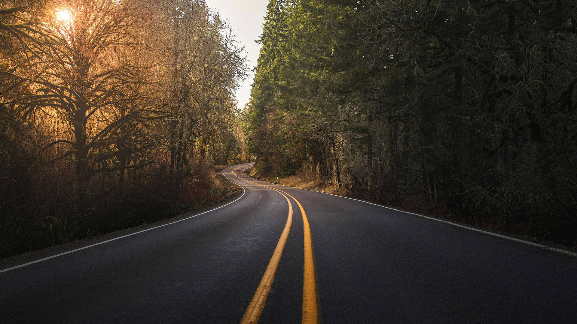 Empty, winding road at sunset