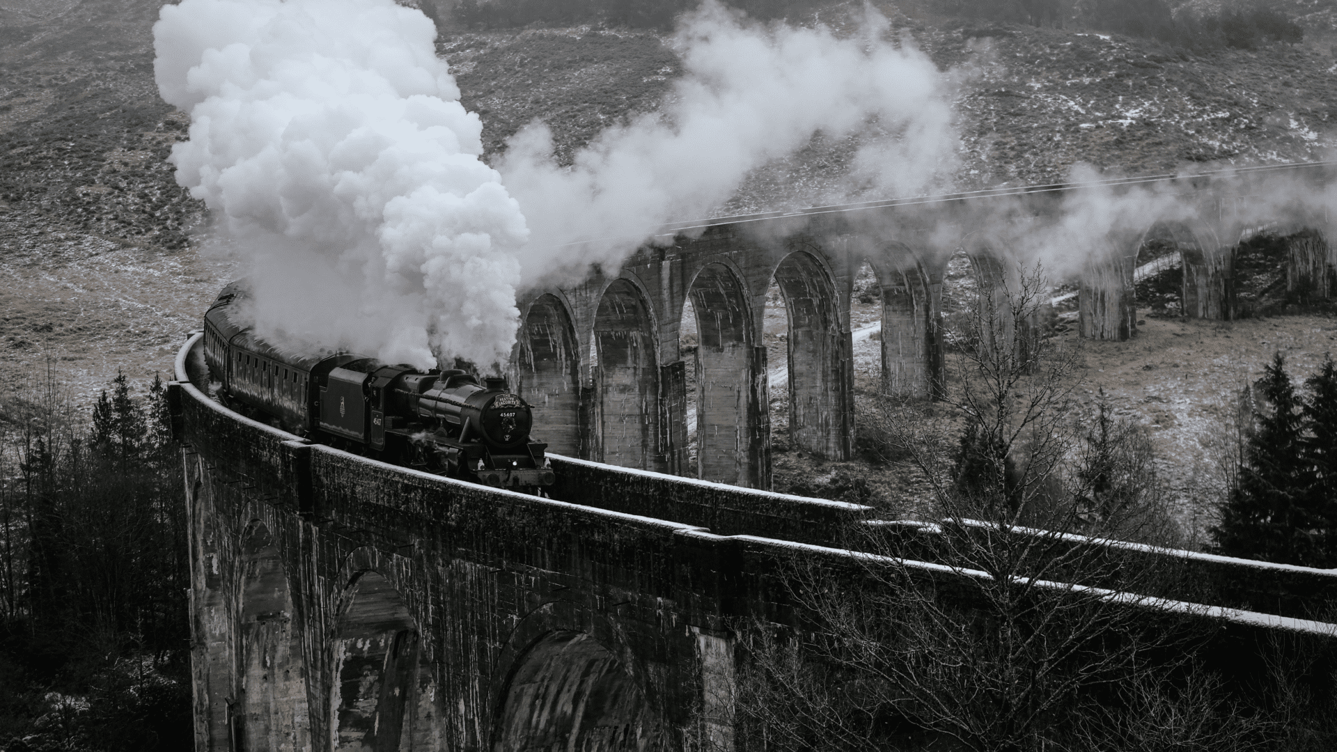 Black train on dark bridge with smoke coming out the engine.