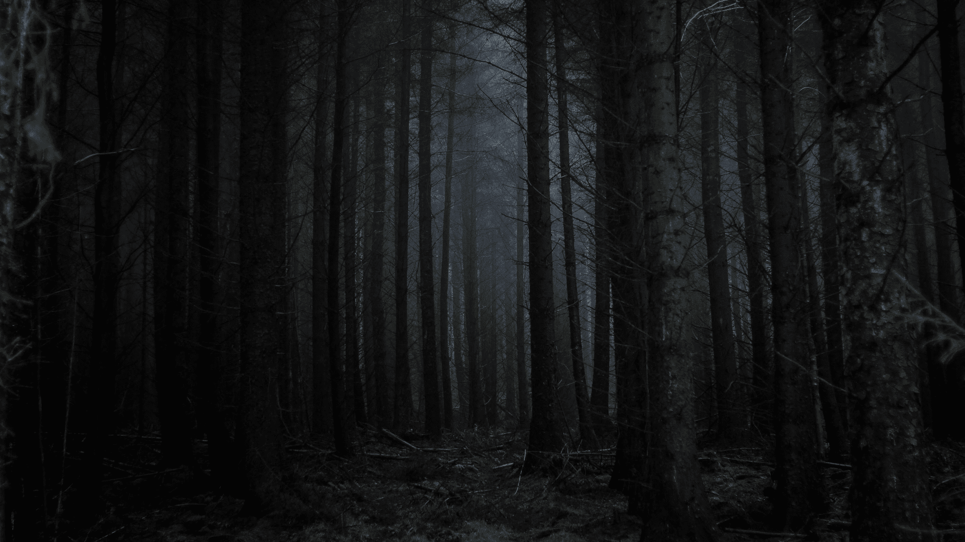 Haunted forest