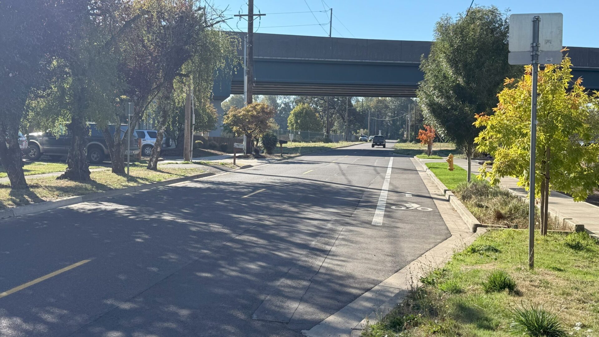 Road with striped bike lane and trees along the sides.